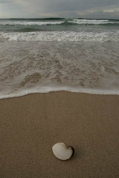Tranquility at De Hoop